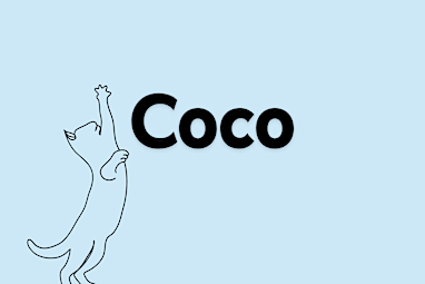 3. Coco