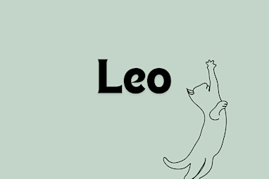 6. Leo