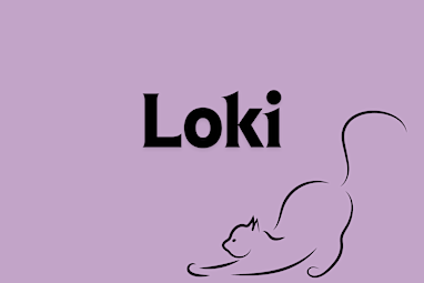 4. Loki