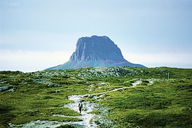 2. Tasmania