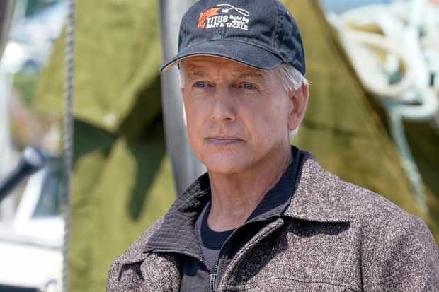 Mark Harmon
