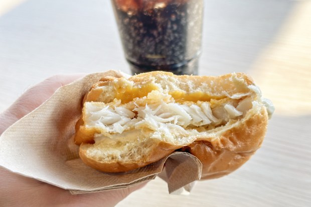 Fish burger