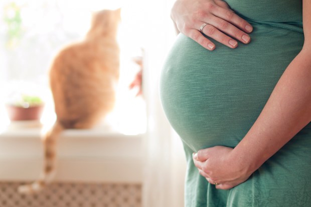 Woman accuses sister of 'stealing' baby name for cat: