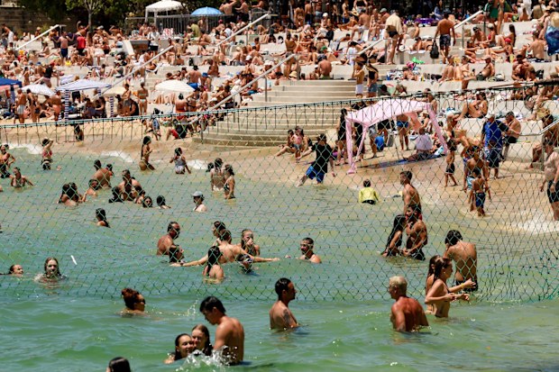 Shark Beach at Nielsen Park, people enjoying the hot weather in Summer. Jan 5, 2024. Photo Edwina Pickles SMH
