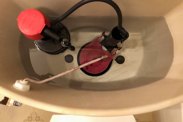 An overhead view of the plumbing inside a toilet bowl flush tank