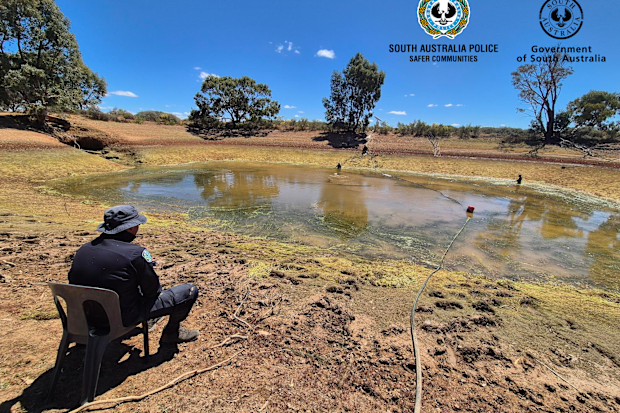 Police have drained a large dam on the remote SA homestead where Gus Lamont vanished just over a month ago.