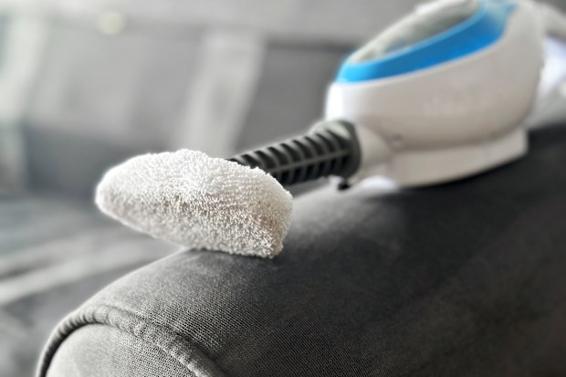 Steam cleaner on a sofa arm n a living room