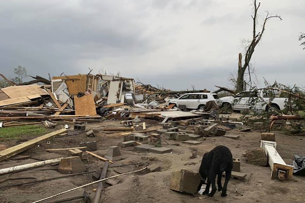 At least 30 dead after tornadoes hit America's southern states