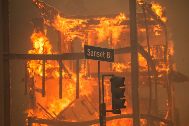 LOS ANGELES, CALIFORNIA - JANUARY 8: Flames from the Palisades Fire burn a building on Sunset Boulevard amid a powerful windstorm on January 8, 2025 in the Pacific Palisades neighborhood of Los Angeles, California. Fueled by intense Santa Ana Winds, the Palisades Fire has grown to over 15,000 acres and 30,000 people have been ordered to evacuate while a second major fire continues to burn near Eaton Canyon in Altadena. (Photo by Apu Gomes/Getty Images)