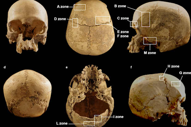 Marcel Loubens cave skull