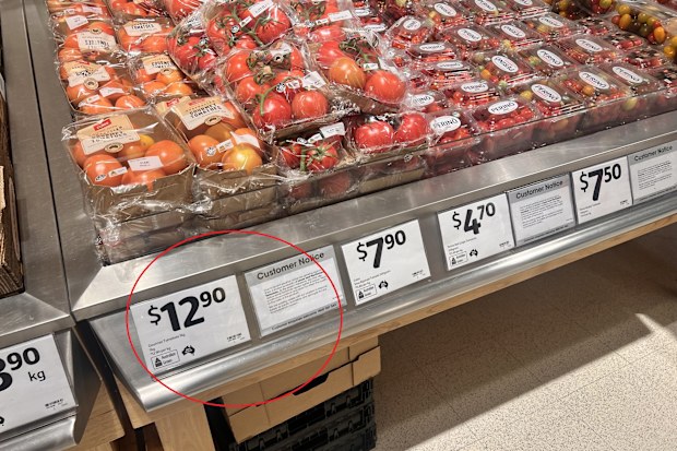 tomatoes cost and availability shortage and surge in price australia explainer