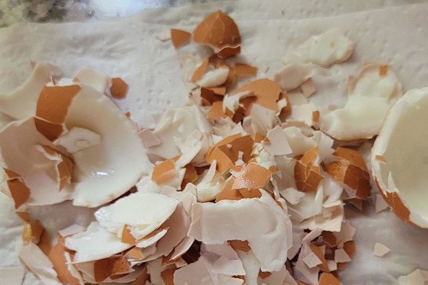 boiled eggs peeling mistake