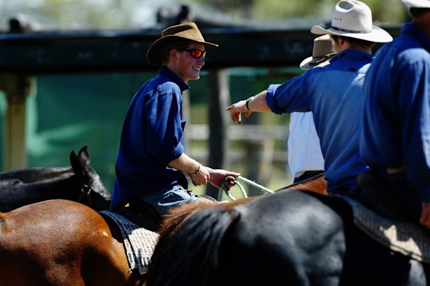 Prince Harry Photo Call at the Tooloombilla Property in Queensland 