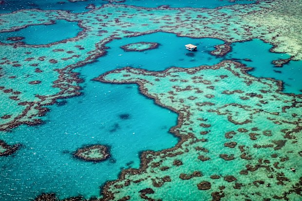 The aerial view of the Great Barrier Reef and the famous heart reef from helicopter