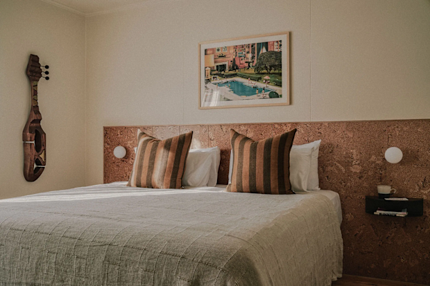 cheshire cat motel gold coast