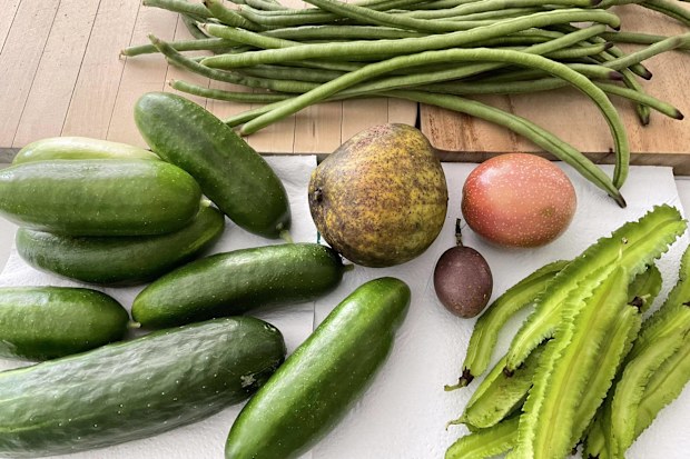 Sandra Rielly grows fruit and vegetables in her garden.