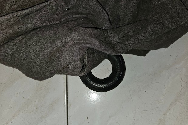 A snake catcher was called to a home in Illawarra NSW