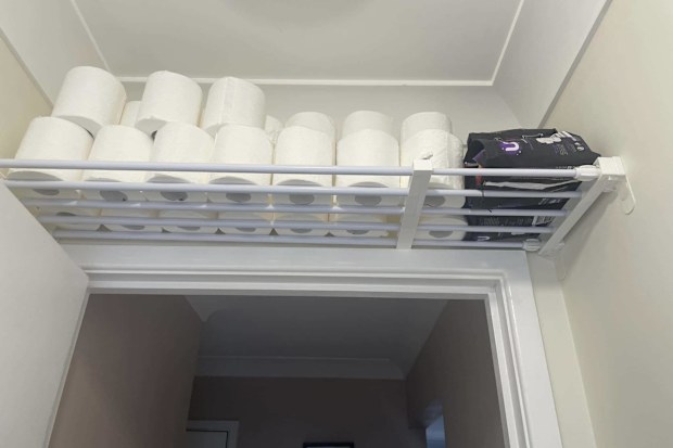 Adjustable Shelf from Kmart, storage hacks, toilet, bathroom