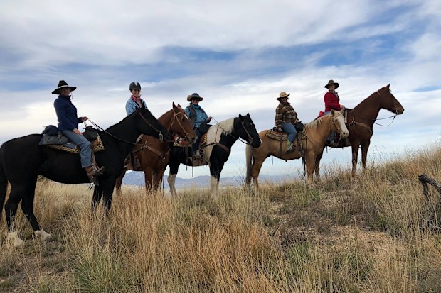Bootsy, Boozy, Buddy, Bitzy and Bossy- to give everybody their cowgirl name on the ranch.