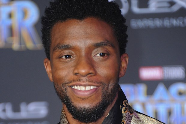 Chadwick Boseman, Hollywood premiere, Black Panther, 2018
