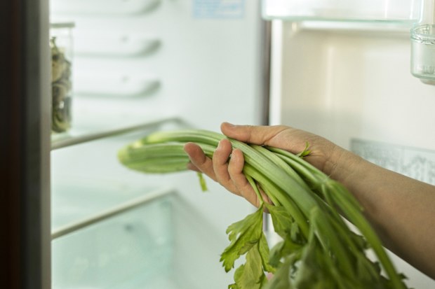 Bunch of celery being placed into a fridge