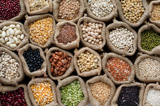 Beans stock