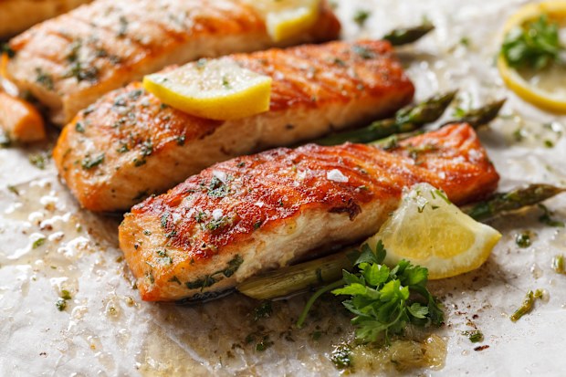 salmon