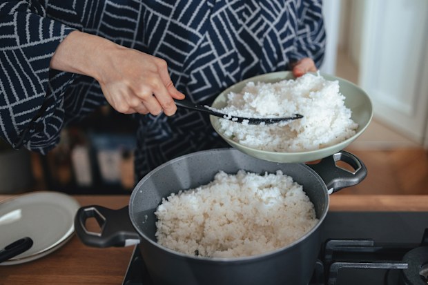 Rice
