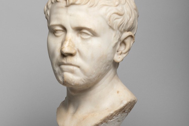 This undated photo shows a marble bust that a Texas woman bought for about $35 from a Goodwill store is temporarily on display at a San Antonio museum after experts determined it was a centuries-old sculpture missing from Germany since World War II. The bust, which art collector Laura Young found at Goodwill in 2018, once belonged in the collection of King Ludwig I of Bavaria, according to the San Antonio Museum of Art, which is temporarily displaying the piece until it is returned to Germany ne
