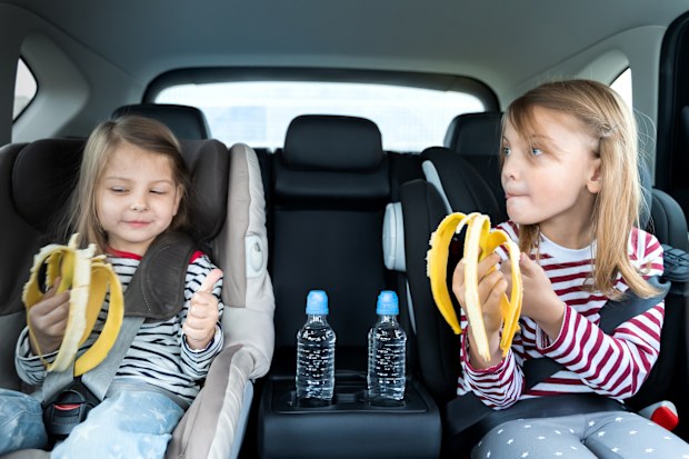 Little girls, sisters are driving in car, eating banana. Traveling on road in safe baby seats with child belts. Fun family trip, activity with parents.