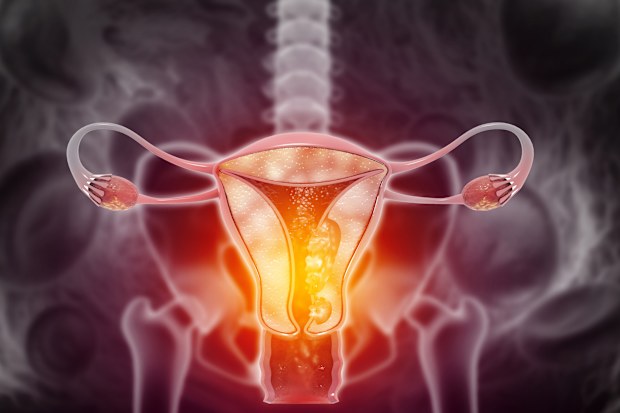 Australia's first-ever specialised Endometriosis and Pelvic Pain clinics have been rolled out in metro and regional areas across the country.