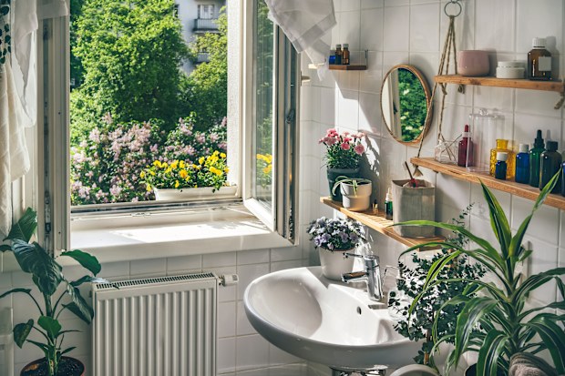 Open window in white modern eco friendly bathroom with biophilic design
