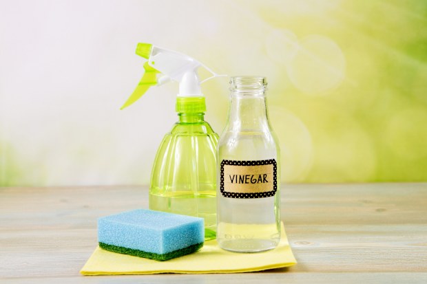 natural distilled white vinegar in spray bottle to remove stains. 