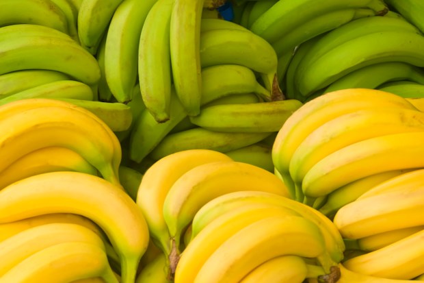 raw bananas health benefits