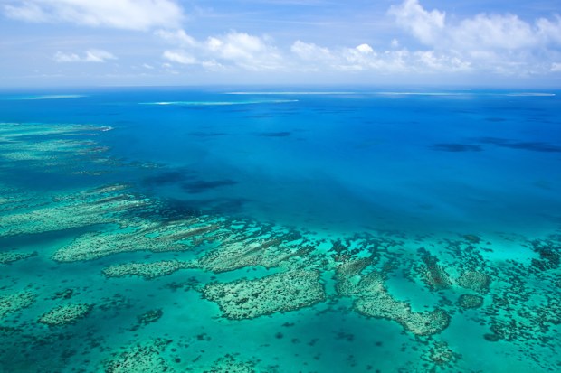Aerial view of a great barrier reef