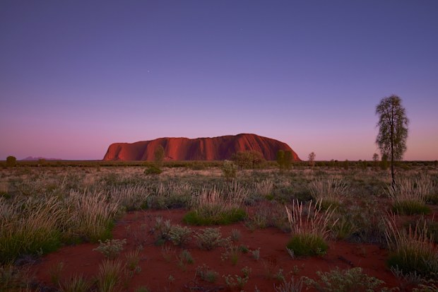 Pre-dawn at Uluru, in the heart of Australia's Outback.