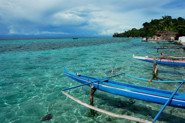 "Pink and blue fishing trimaran boat on stilts above transparent turquoise water, Ambon, Maluku, Indonesia"