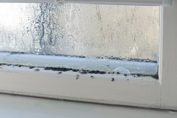old window with rotten wood and mould on it inside an older home, during winter.