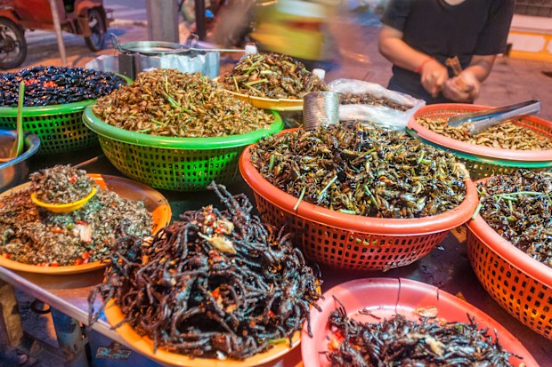 Image of variation of edible insects being sold in street market stall.