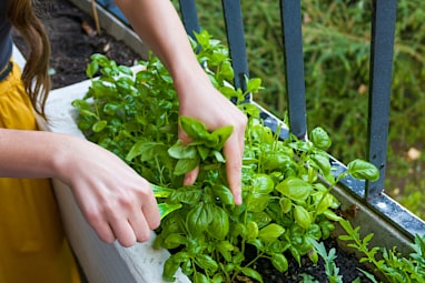 Grow something