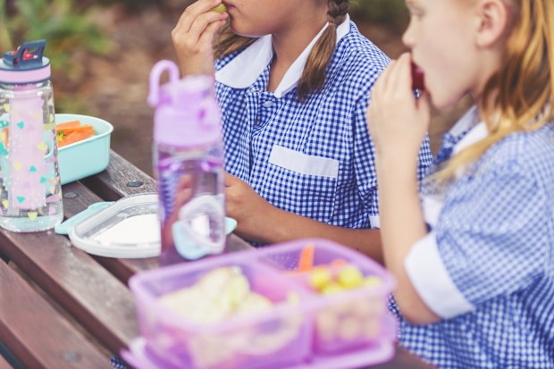 Schoolgirls eating a healthy lunch. They have a lunch box with vegetables and fruit and a lettuce and chicken sandwich. They are wearing school uniforms.