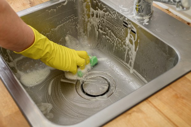 Scrub the stainless steel sink isolated home work