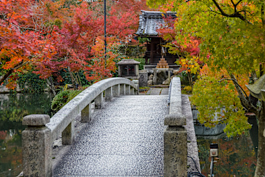 3. Eikando Zenrinji Temple