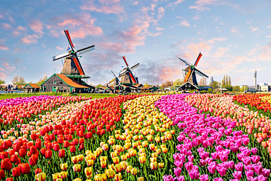 14. Netherlands