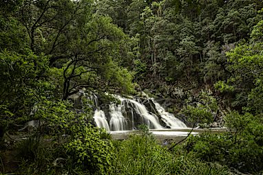3. Conondale National Park, Sunshine Coast, QLD