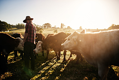 Farmer
