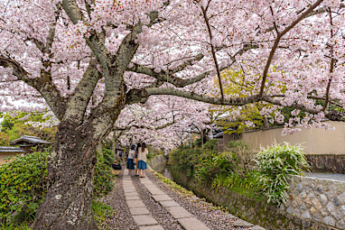 Kyoto, Japan
