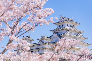 10. Himeji Castle