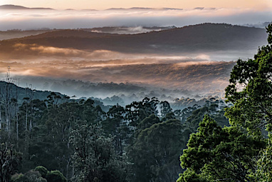 Sherbrooke Forest Circuit (Melbourne, Victoria)