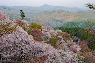 Nara, Japan